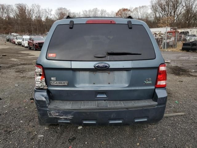 2011 Ford Escape XLT