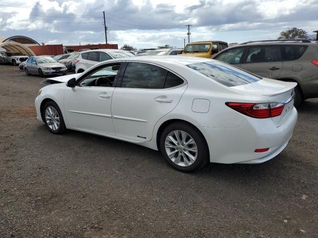 2014 Lexus ES 300H