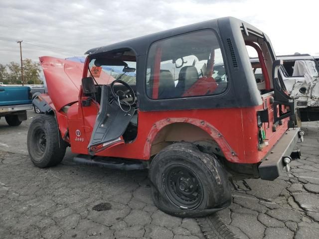 1995 Jeep Wrangler / YJ S