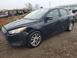 Ford Focus salvage cars for sale: 2015 Ford Focus SE