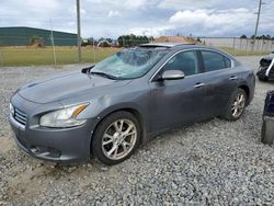 Nissan Maxima salvage cars for sale: 2014 Nissan Maxima S