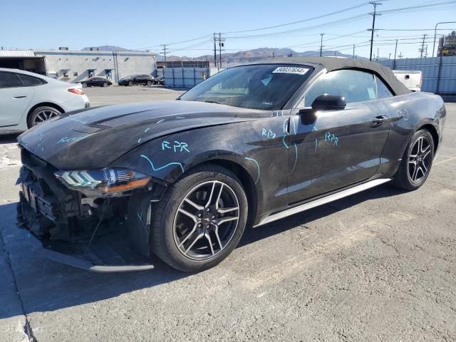 2019 Ford Mustang