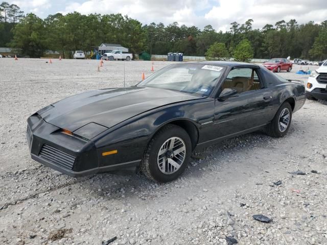 1982 Pontiac Firebird SE