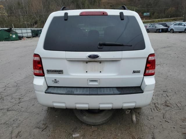 2011 Ford Escape XLT