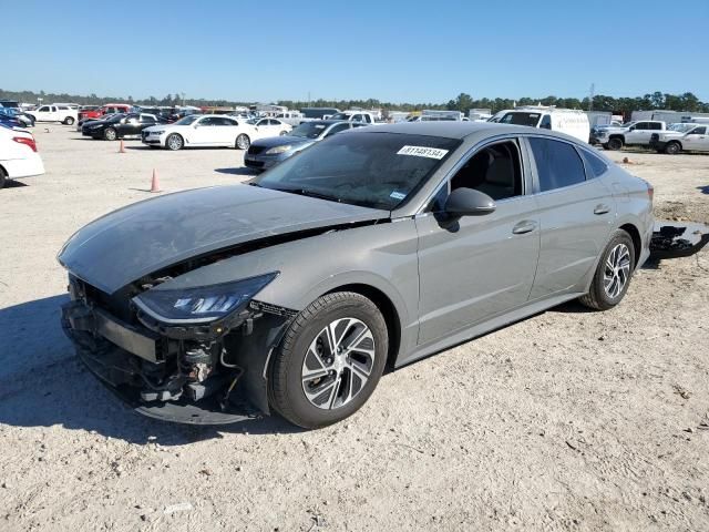 2022 Hyundai Sonata Hybrid