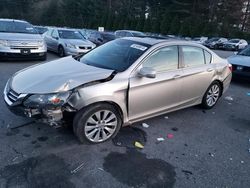 Honda Accord salvage cars for sale: 2013 Honda Accord EXL