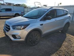 Ford Escape salvage cars for sale: 2017 Ford Escape SE