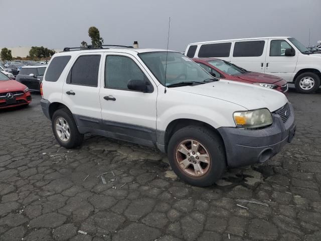 2006 Ford Escape XLT