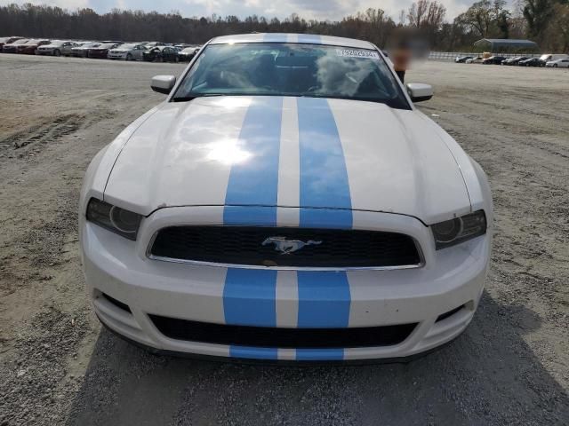 2013 Ford Mustang