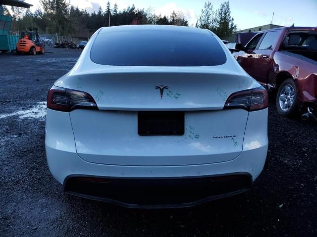 2022 Tesla Model Y