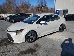 Toyota Corolla salvage cars for sale: 2020 Toyota Corolla LE