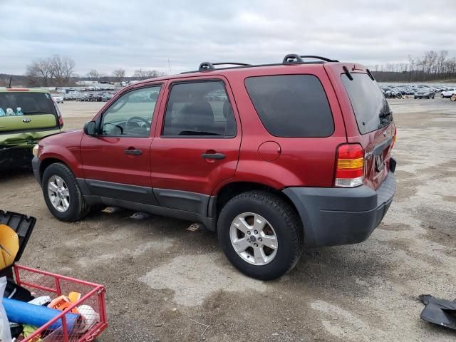 2005 Ford Escape XLT