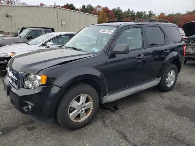 2011 Ford Escape XLT