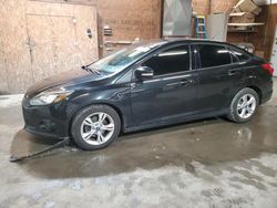 Ford Focus salvage cars for sale: 2013 Ford Focus SE