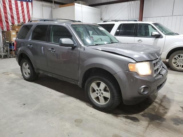 2009 Ford Escape XLT