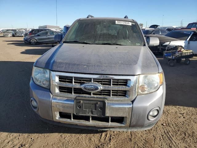 2008 Ford Escape Limited