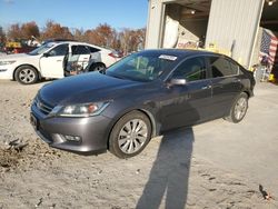 Honda Accord salvage cars for sale: 2013 Honda Accord EXL