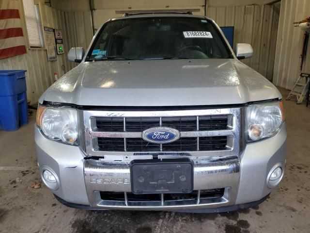 2011 Ford Escape Limited