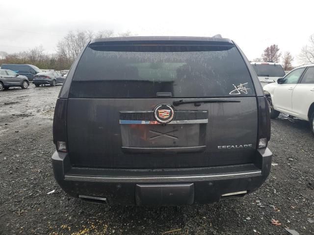 2010 Cadillac Escalade Luxury