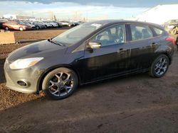 2013 Ford Focus SE en venta en Rocky View County, AB