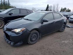 Toyota Corolla salvage cars for sale: 2017 Toyota Corolla L