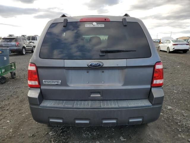 2010 Ford Escape XLT