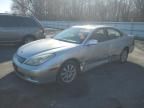 2004 Lexus ES 330