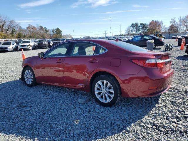 2014 Lexus ES 300H