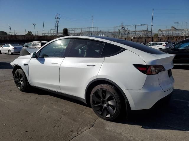 2020 Tesla Model Y