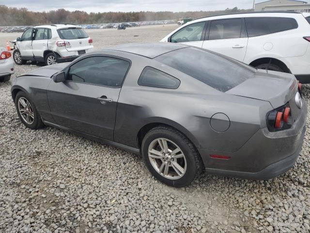 2010 Ford Mustang