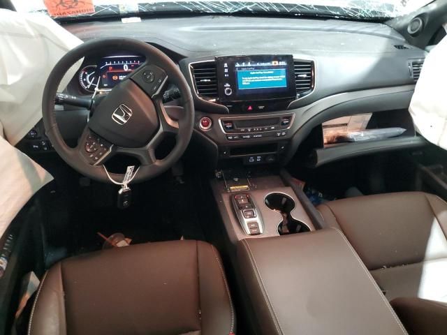 2024 Honda Passport EXL