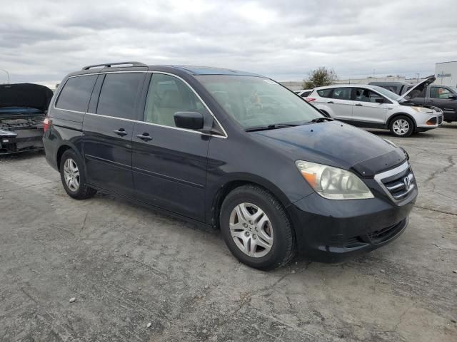 2005 Honda Odyssey EXL