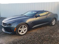 Chevrolet Camaro salvage cars for sale: 2023 Chevrolet Camaro LS