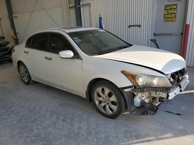 2009 Honda Accord EXL