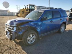 Ford Vehiculos salvage en venta: 2012 Ford Escape XLT