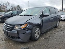 Honda Odyssey salvage cars for sale: 2016 Honda Odyssey SE