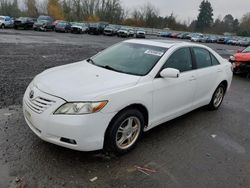 Toyota Camry salvage cars for sale: 2008 Toyota Camry CE