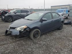 Toyota Corolla salvage cars for sale: 2015 Toyota Corolla L