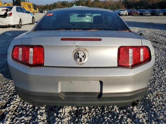 2010 Ford Mustang