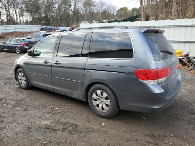 2010 Honda Odyssey EX