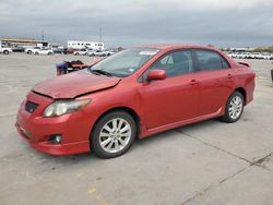 Toyota Corolla salvage cars for sale: 2010 Toyota Corolla Base