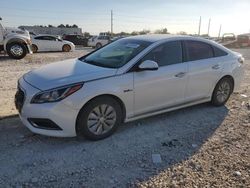 Hyundai Sonata salvage cars for sale: 2017 Hyundai Sonata Hybrid