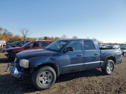 Dodge Dakota salvage cars for sale: 2006 Dodge Dakota Quad SLT