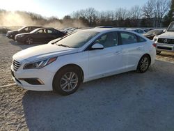 Hyundai Sonata salvage cars for sale: 2017 Hyundai Sonata SE