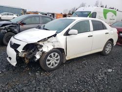 Toyota Corolla salvage cars for sale: 2009 Toyota Corolla Base