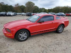 Ford Mustang salvage cars for sale: 2006 Ford Mustang