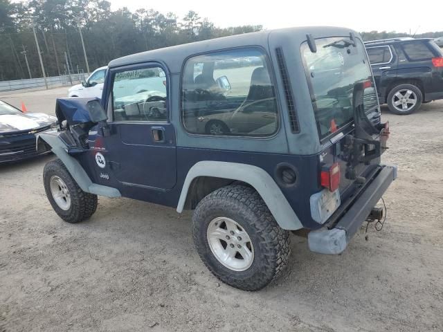 2002 Jeep Wrangler / TJ X