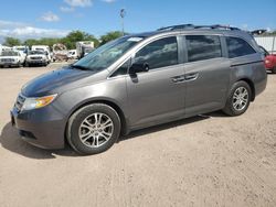 Honda Vehiculos salvage en venta: 2013 Honda Odyssey EXL