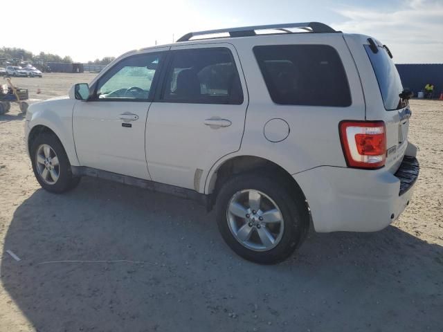 2010 Ford Escape Limited