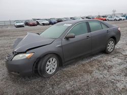 Toyota Camry salvage cars for sale: 2008 Toyota Camry Hybrid